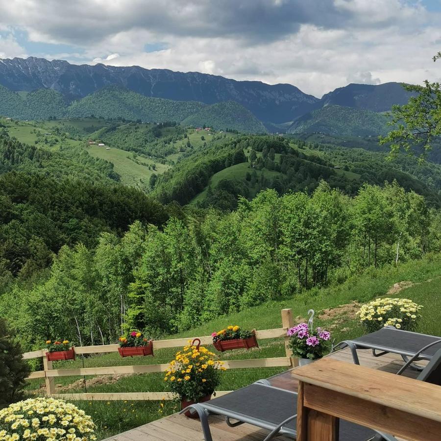 Hotel Cabanuta Din Munti Moieciu de Jos Exterior foto