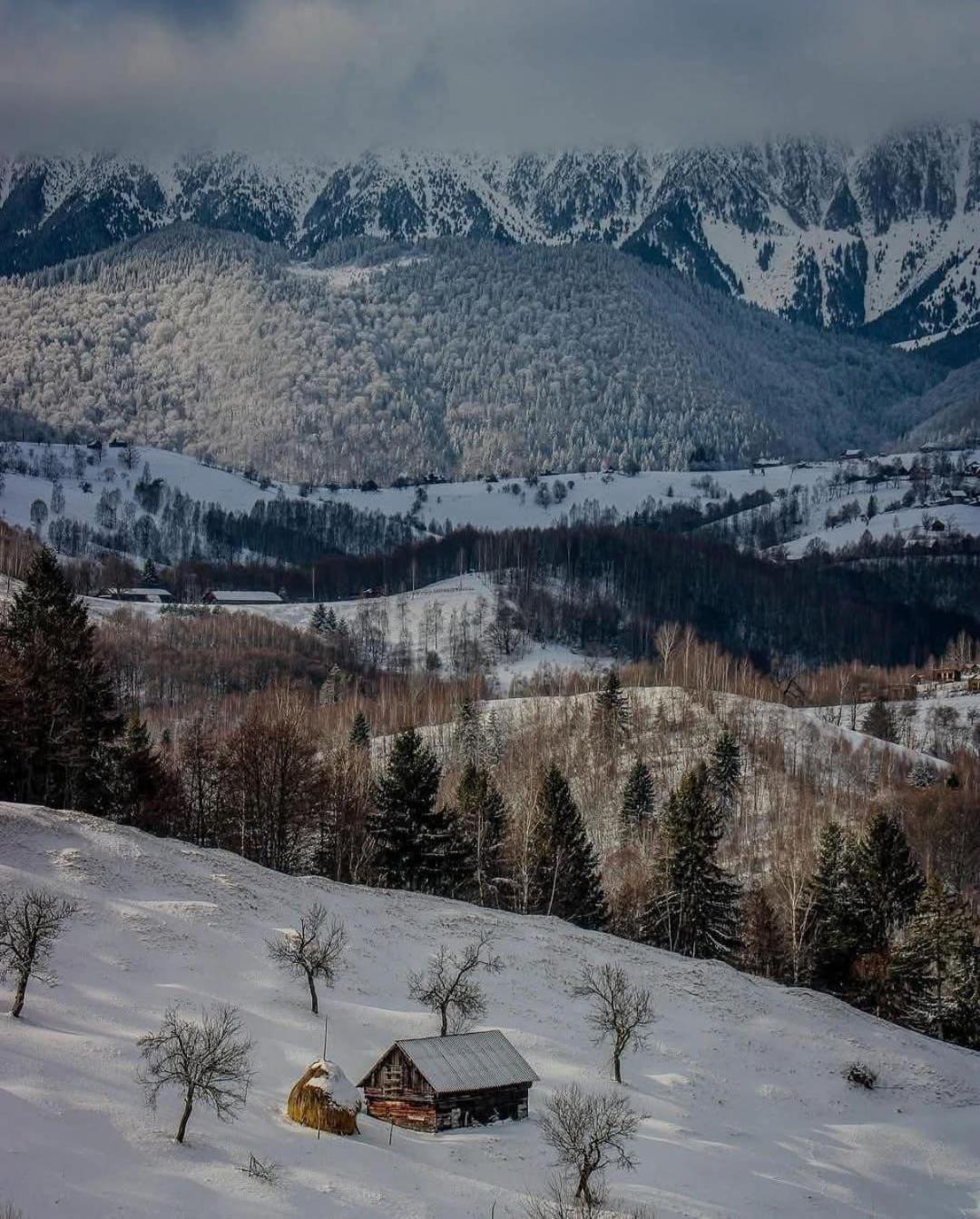 Hotel Cabanuta Din Munti Moieciu de Jos Exterior foto